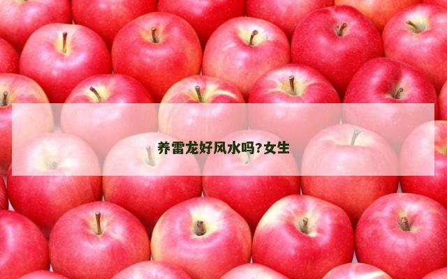 养雷龙好风水吗?女生