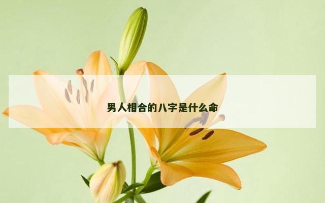 男人相合的八字是什么命