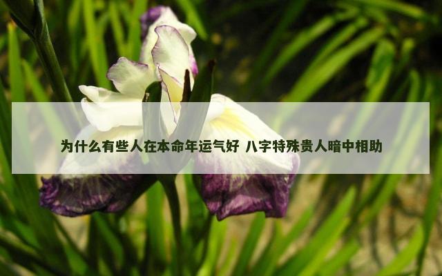 为什么有些人在本命年运气好 八字特殊贵人暗中相助