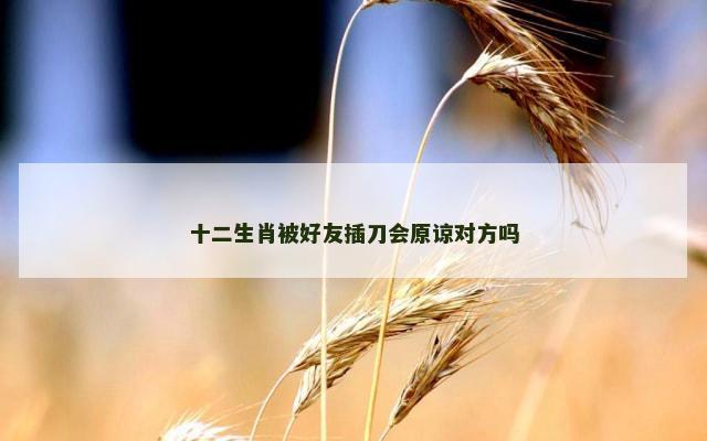 十二生肖被好友插刀会原谅对方吗