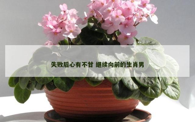 失败后心有不甘 继续向前的生肖男