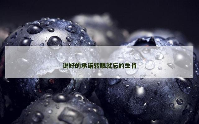 说好的承诺转眼就忘的生肖