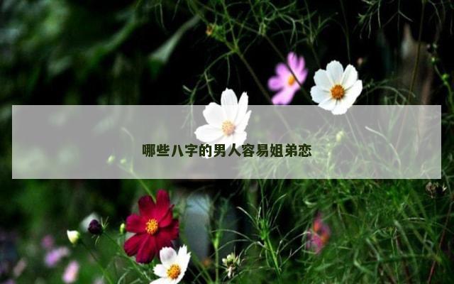 哪些八字的男人容易姐弟恋