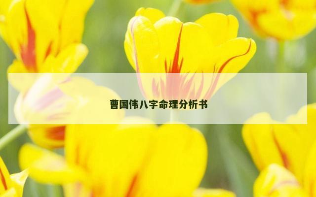 曹国伟八字命理分析书