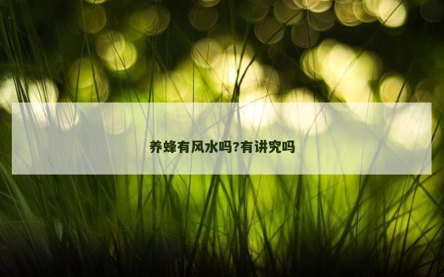 养蜂有风水吗?有讲究吗