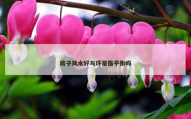 房子风水好与坏是指平衡吗
