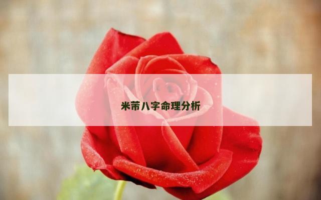 米芾八字命理分析