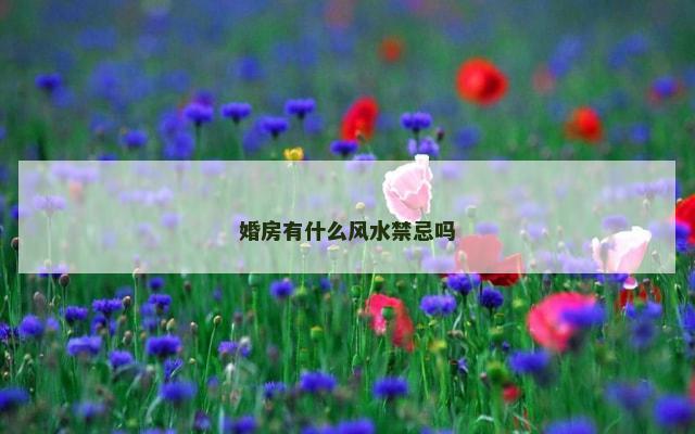 婚房有什么风水禁忌吗