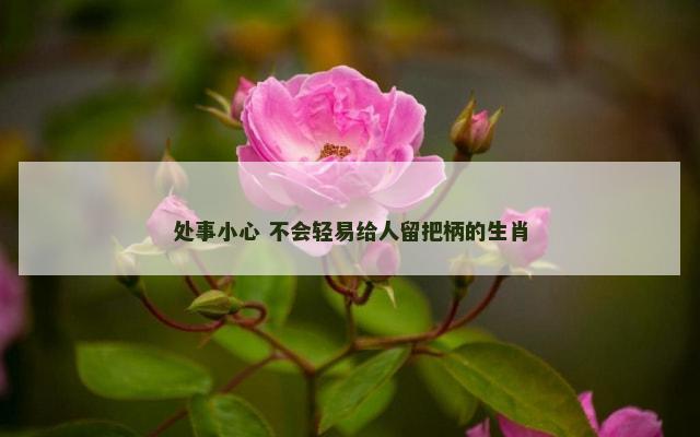 处事小心 不会轻易给人留把柄的生肖