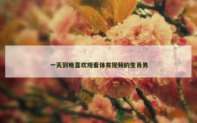 一天到晚喜欢观看体育视频的生肖男