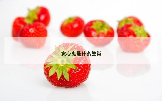 贪心鬼是什么生肖