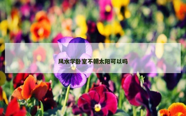 风水学卧室不朝太阳可以吗