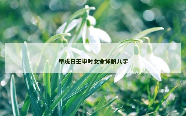 甲戌日壬申时女命详解八字