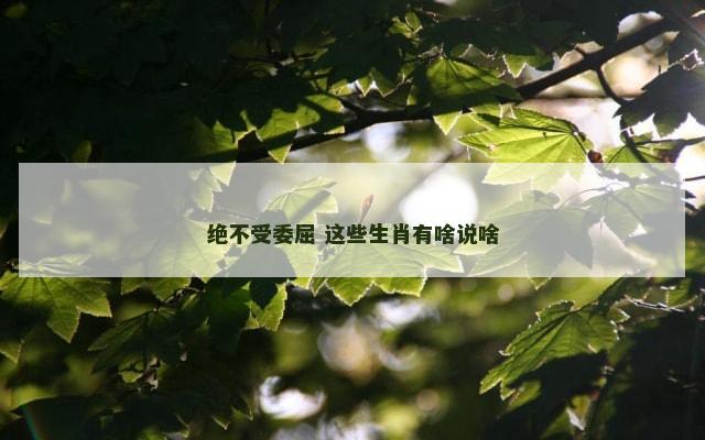 绝不受委屈 这些生肖有啥说啥