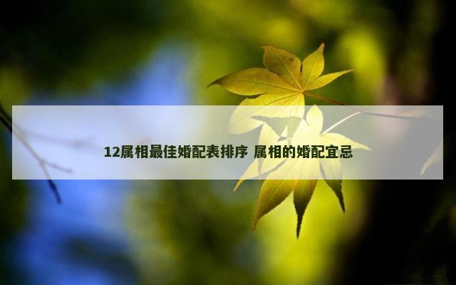 12属相最佳婚配表排序 属相的婚配宜忌