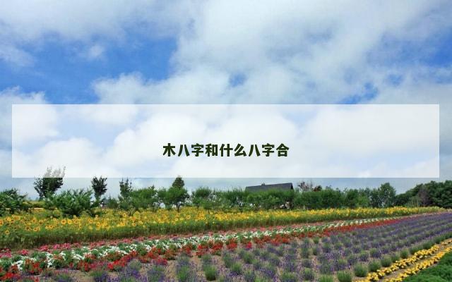 木八字和什么八字合