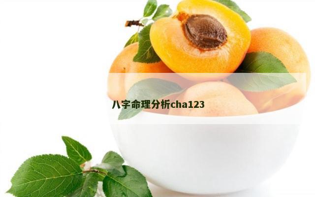 八字命理分析cha123