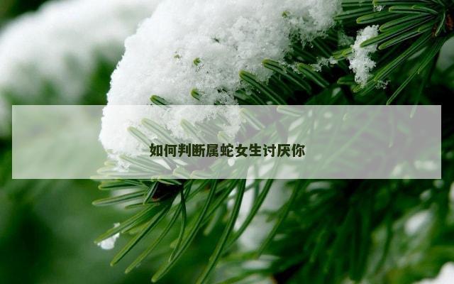 如何判断属蛇女生讨厌你