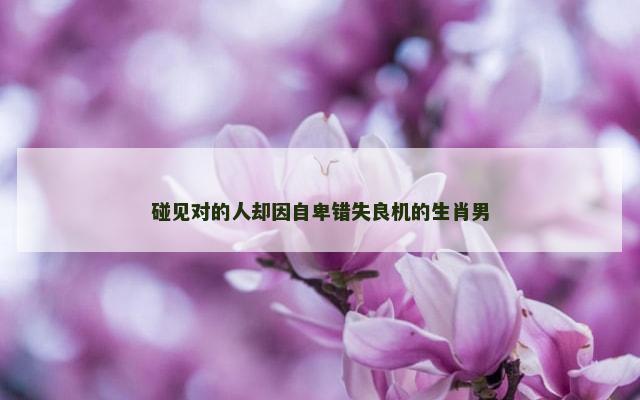 碰见对的人却因自卑错失良机的生肖男