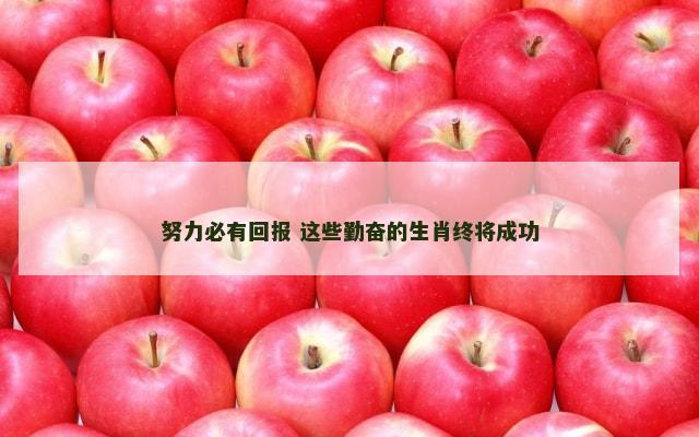 努力必有回报 这些勤奋的生肖终将成功