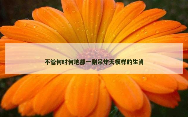 不管何时何地都一副吊炸天模样的生肖