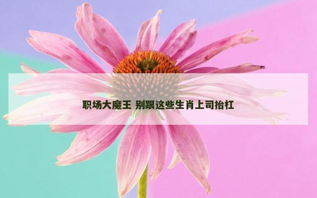 职场大魔王 别跟这些生肖上司抬杠
