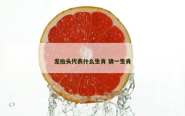 龙抬头代表什么生肖 猜一生肖