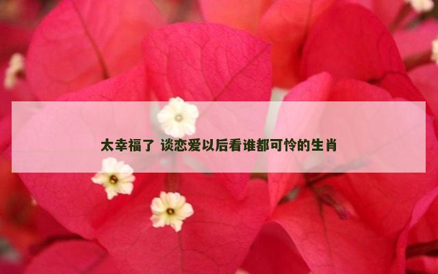 太幸福了 谈恋爱以后看谁都可怜的生肖