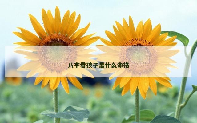 八字看孩子是什么命格