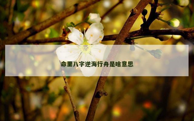 命里八字逆海行舟是啥意思