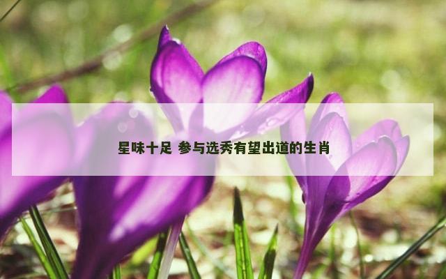 星味十足 参与选秀有望出道的生肖
