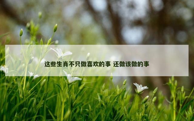 这些生肖不只做喜欢的事 还做该做的事