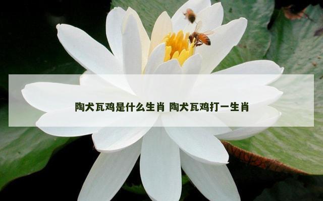 陶犬瓦鸡是什么生肖 陶犬瓦鸡打一生肖