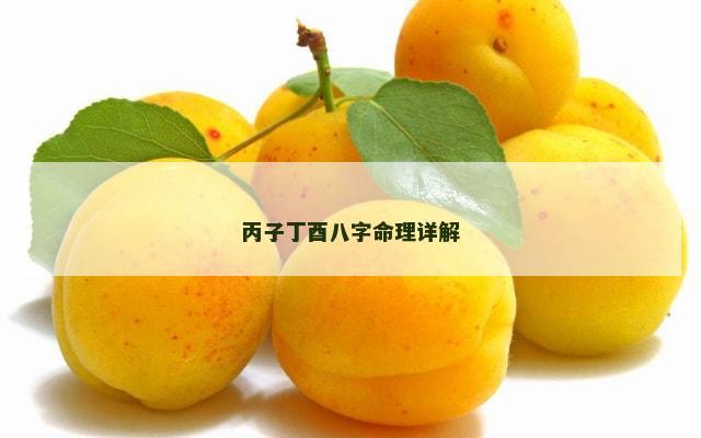 丙子丁酉八字命理详解