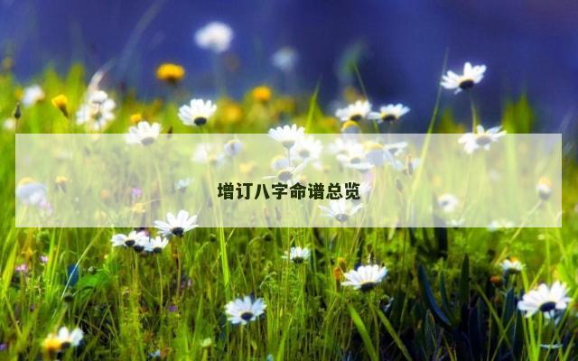 增订八字命谱总览