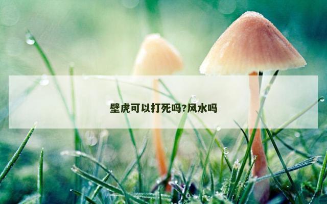 壁虎可以打死吗?风水吗