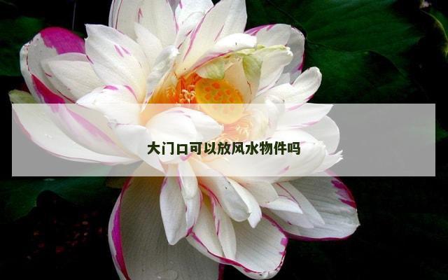 大门口可以放风水物件吗