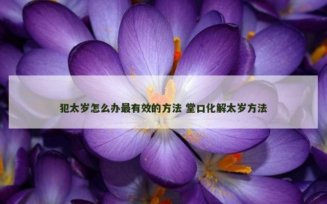 犯太岁怎么办最有效的方法 堂口化解太岁方法