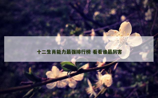 十二生肖能力最强排行榜 看看谁最厉害