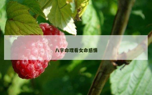 八字命理看女命感情