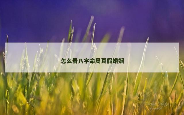 怎么看八字命局真假婚姻