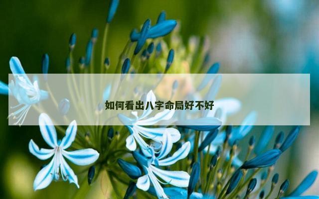 如何看出八字命局好不好