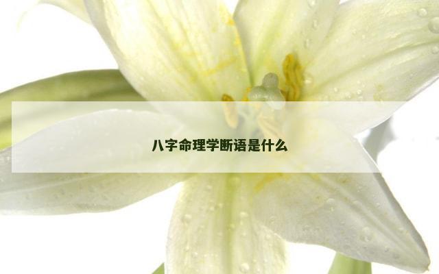 八字命理学断语是什么