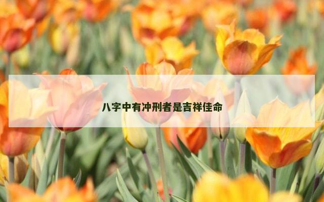 八字中有冲刑者是吉祥佳命