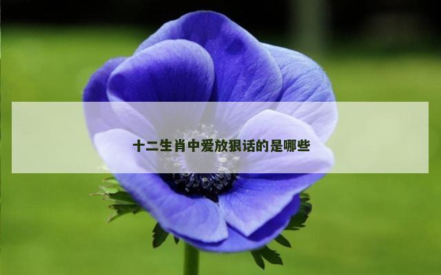 十二生肖中爱放狠话的是哪些