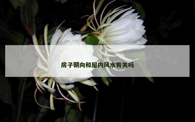 房子朝向和屋内风水有关吗