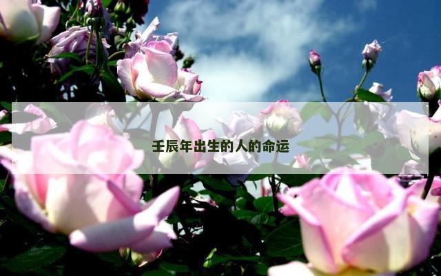 壬辰年出生的人的命运