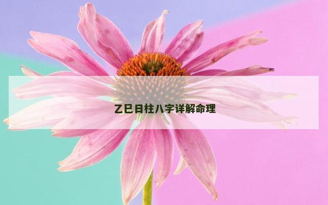 乙巳日柱八字详解命理