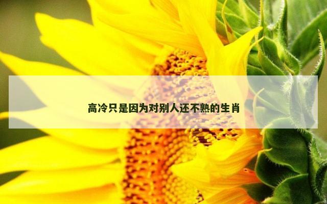 高冷只是因为对别人还不熟的生肖