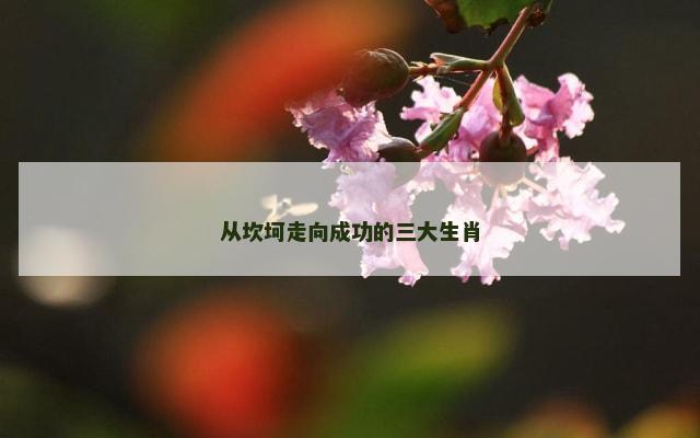 从坎坷走向成功的三大生肖